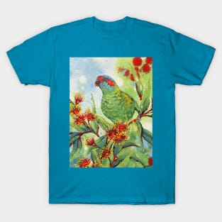 Musketeer (Musk Lorikeet) T-Shirt